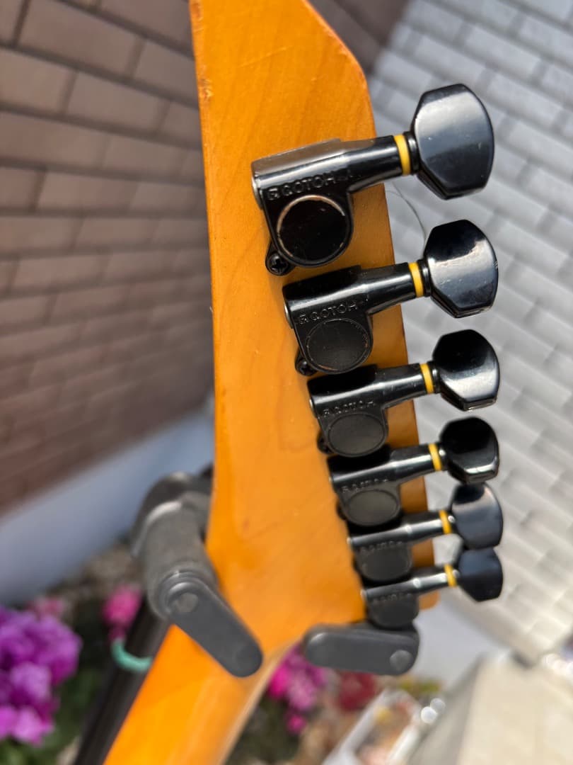 FERNANDES 布袋モデル