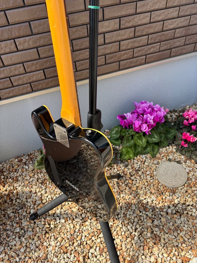 FERNANDES 布袋モデル