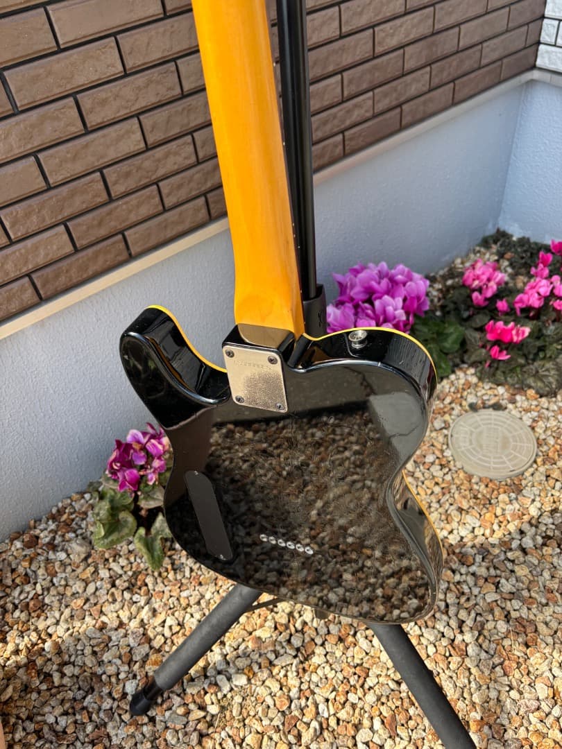 FERNANDES 布袋モデル