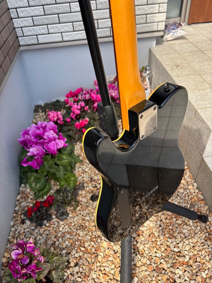 FERNANDES 布袋モデル