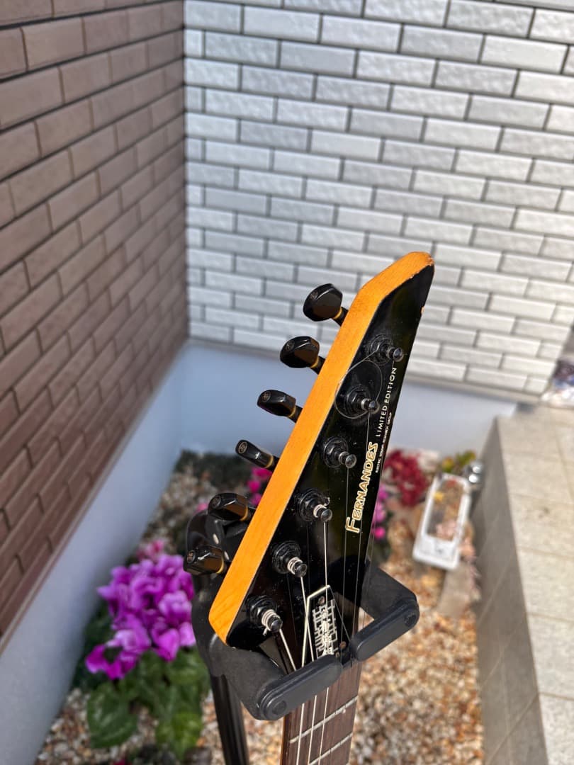 FERNANDES 布袋モデル