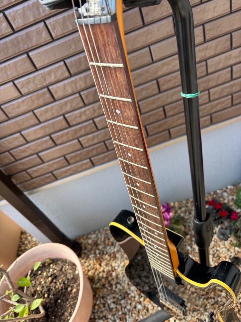 FERNANDES 布袋モデル