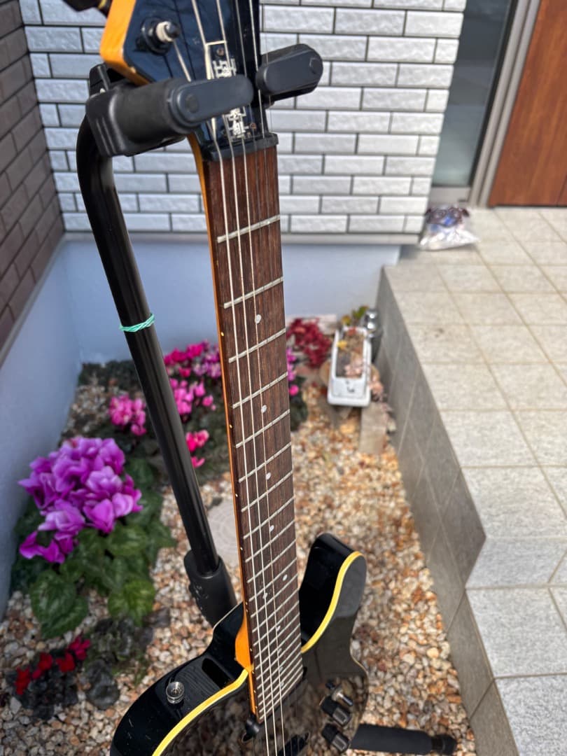 FERNANDES 布袋モデル