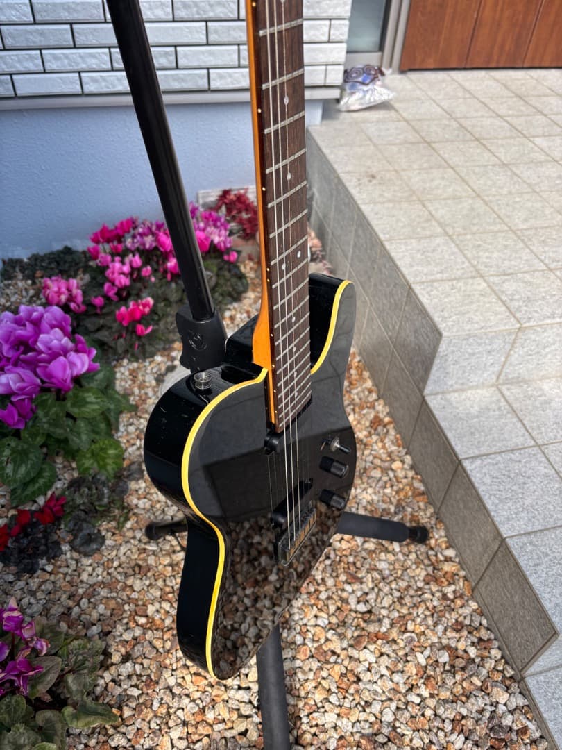 FERNANDES 布袋モデル