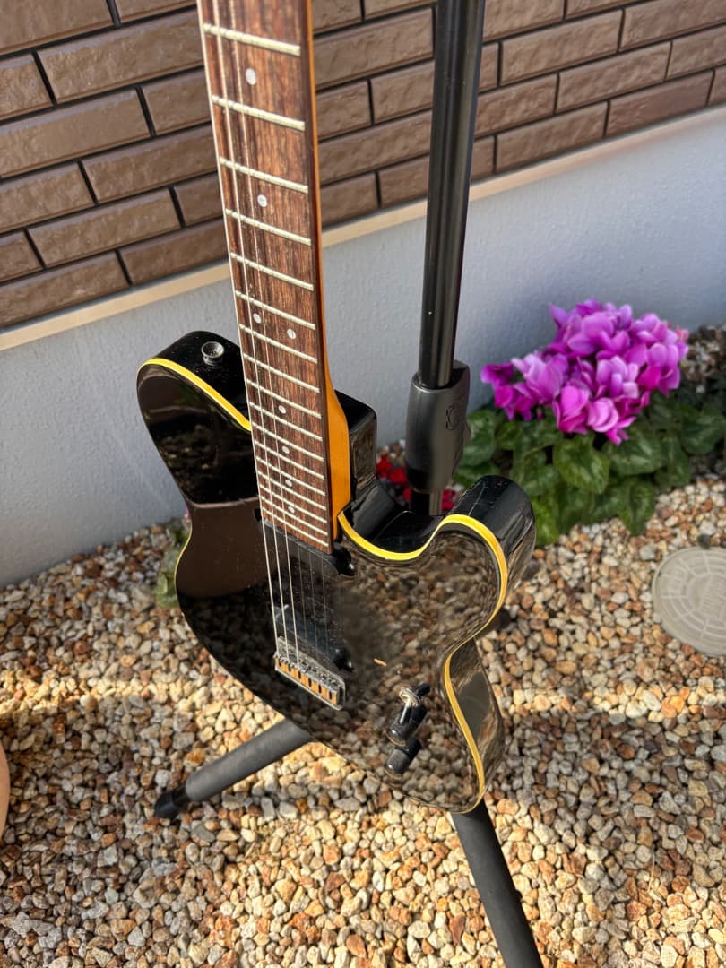 FERNANDES 布袋モデル