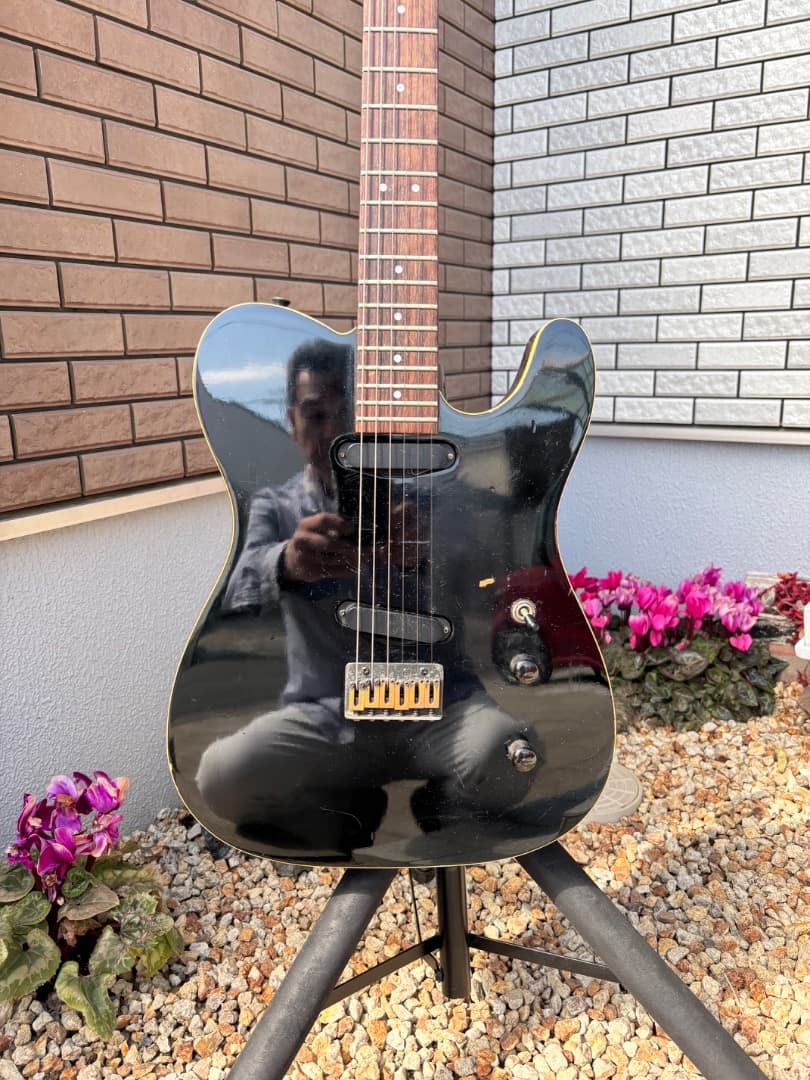 FERNANDES 布袋モデル