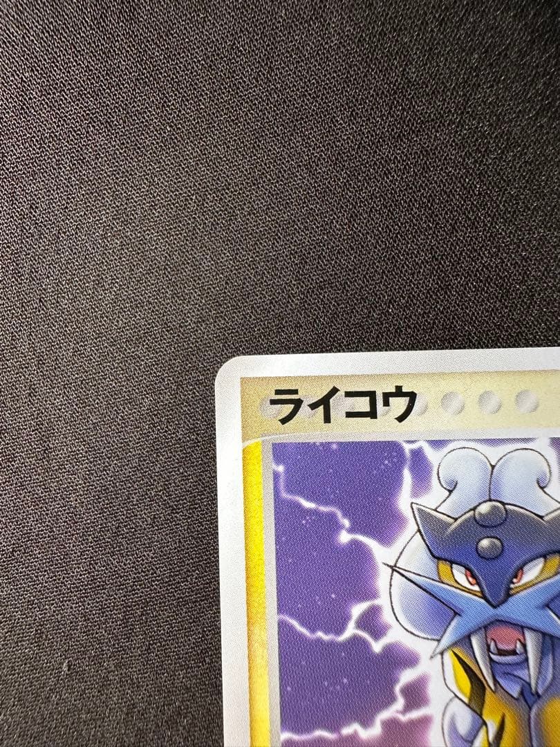 美品 ライコウ　ポケパーク　プレミアムファイル ブルーシート 005/009