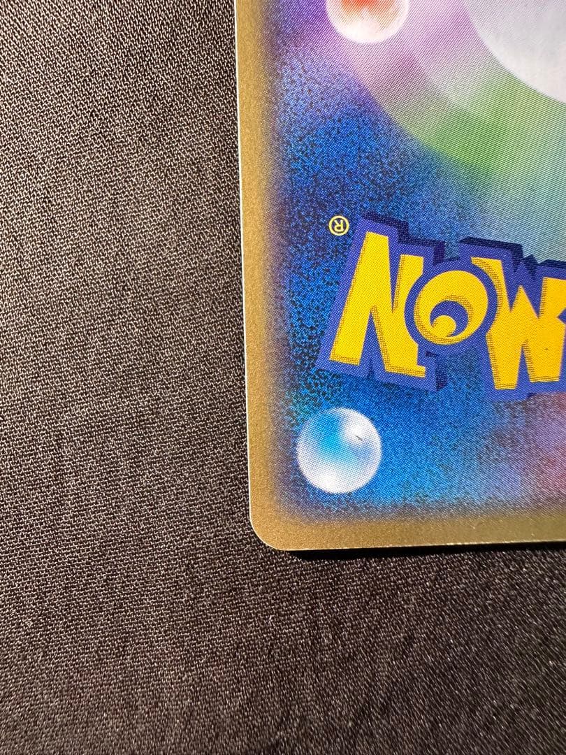 美品 ライコウ　ポケパーク　プレミアムファイル ブルーシート 005/009