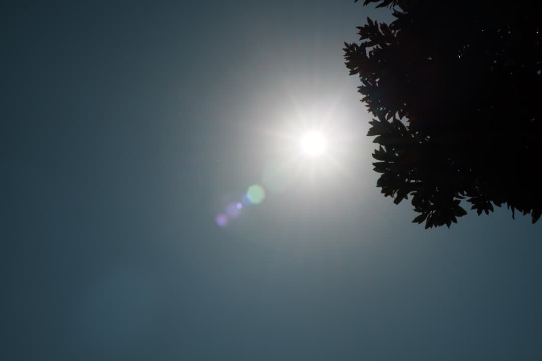 【極美品】動作◎ ニコン　Ai Nikkor 50mm F1.4 118