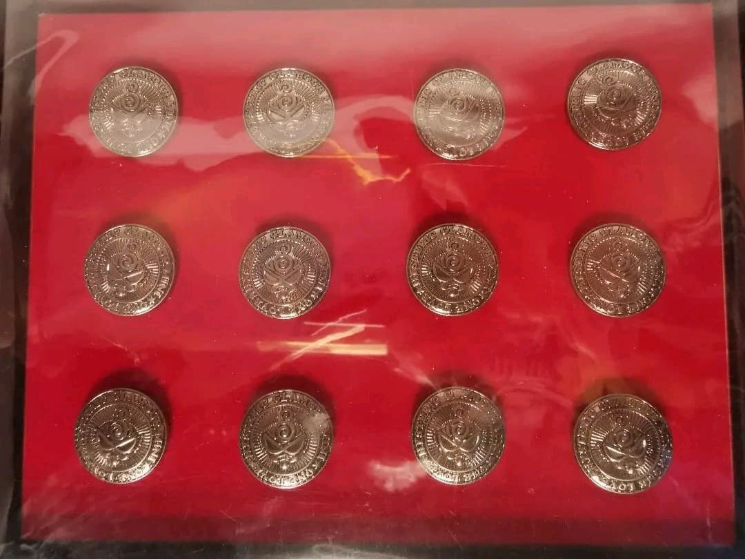 ヒスミニ　ピンバッジ　銀ボタン