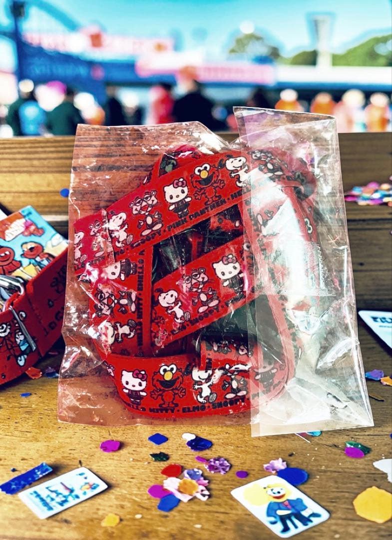 ユニバーサルスタジオジャパン10周年記念限定 ネックストラップ　激レア