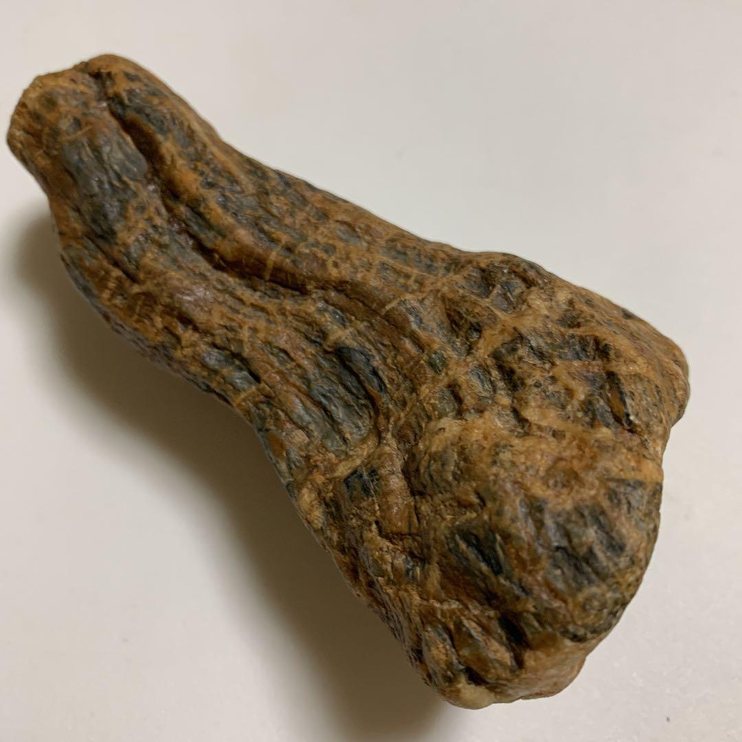 御神体 石 子孫繁栄 お守り 置物