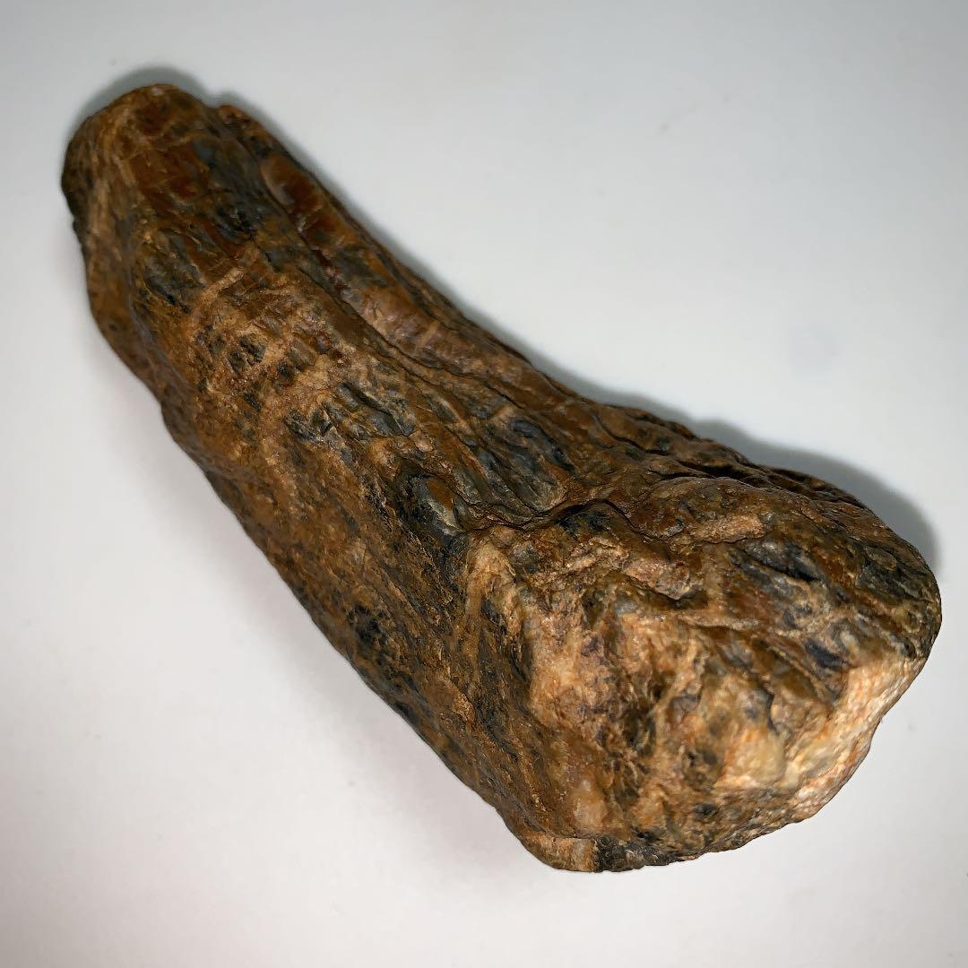 御神体 石 子孫繁栄 お守り 置物