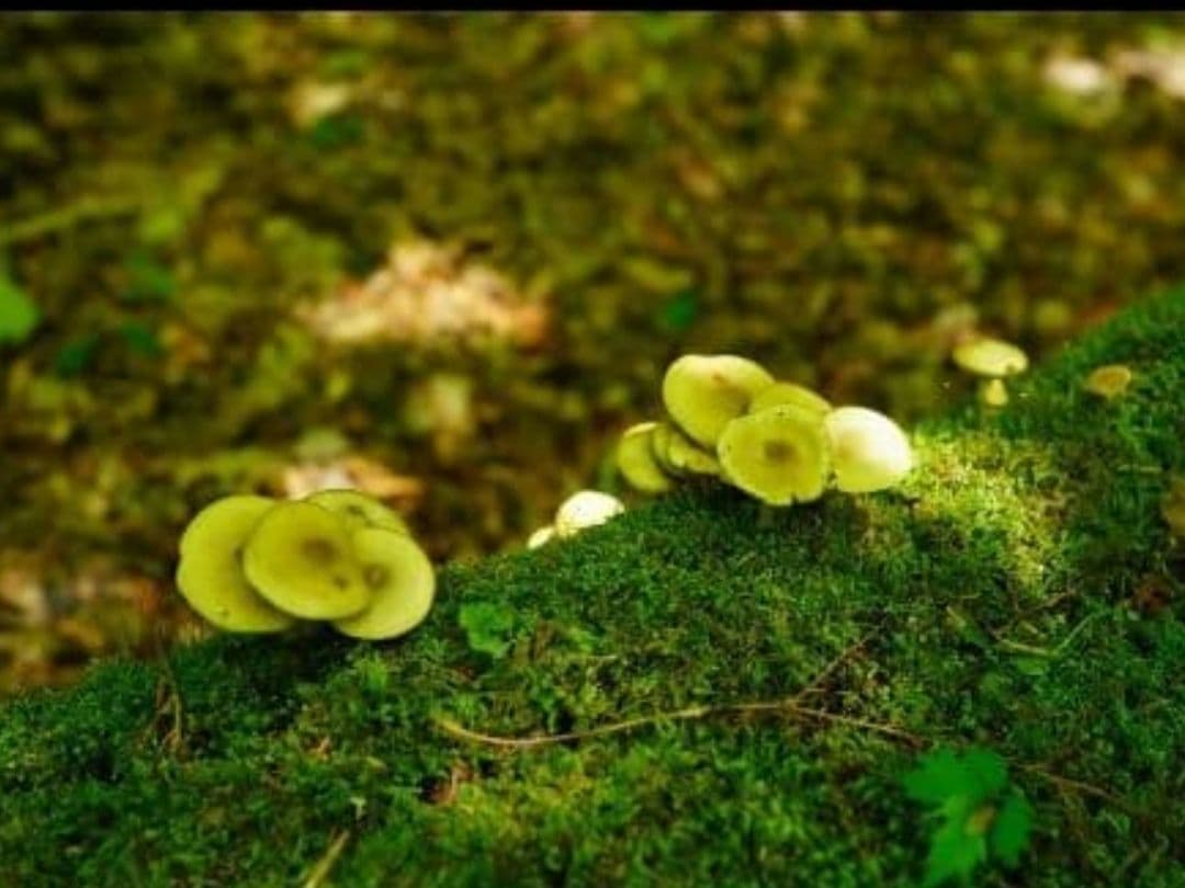 人気のシルバー色カメラ　SONY α6400 ミラーレス一眼カメラセット