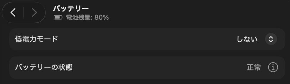 MacBook Pro M5 スペースブラック 24GB 1TB 1ヶ月使用