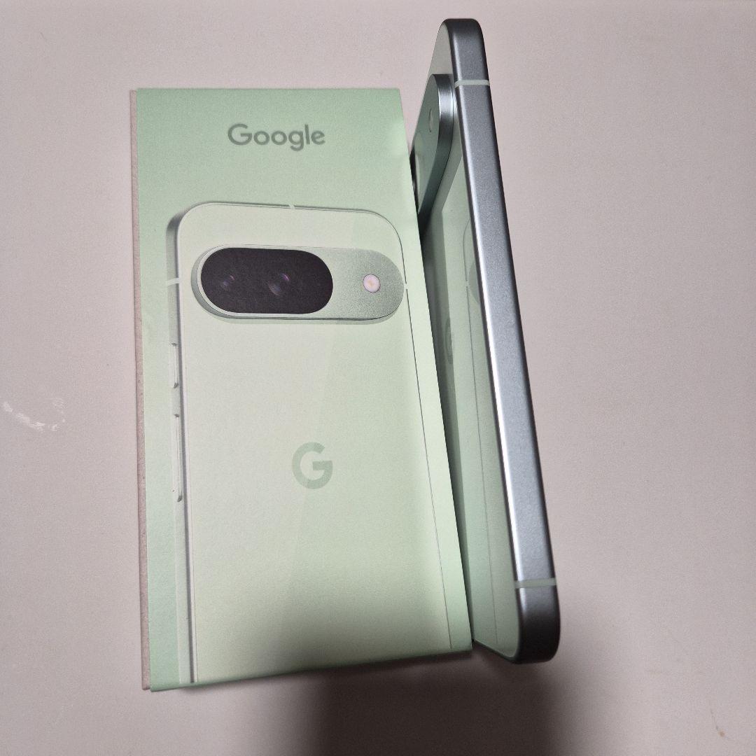 Google Pixel 9本体