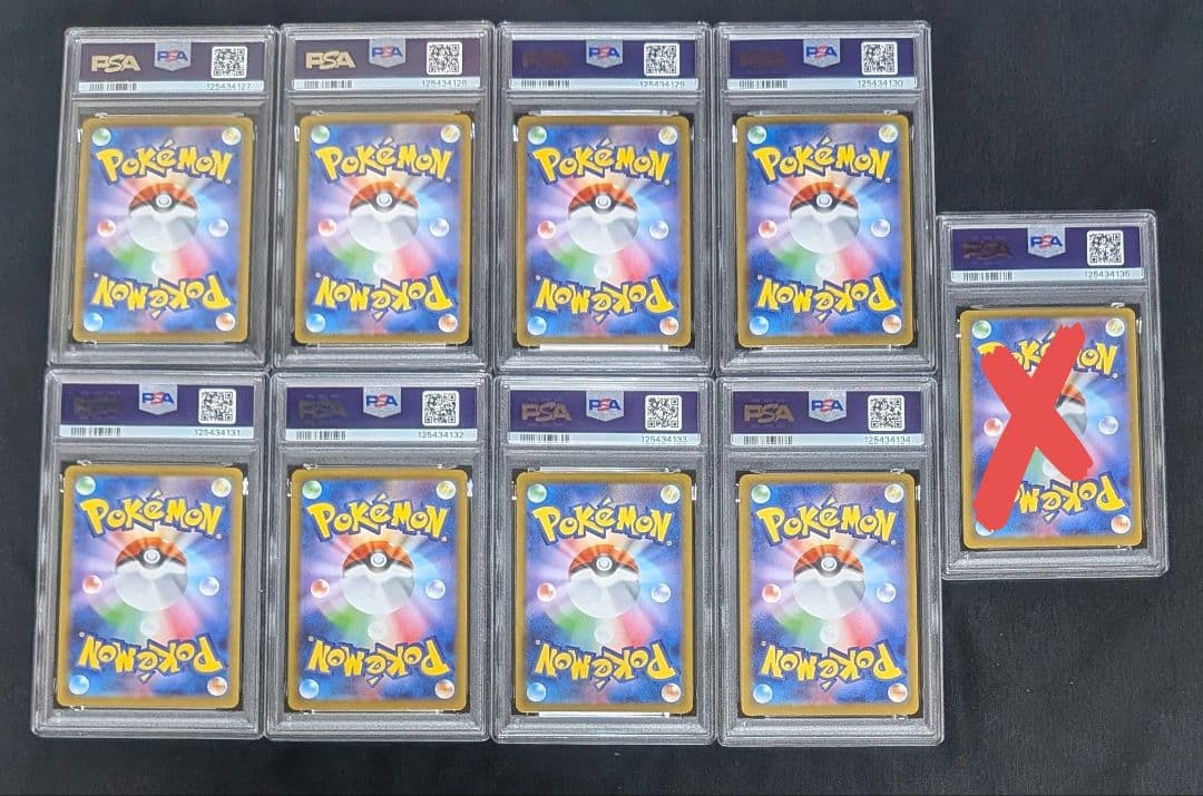 くにお テラスタルフェス ブイズマスターボール 8連番