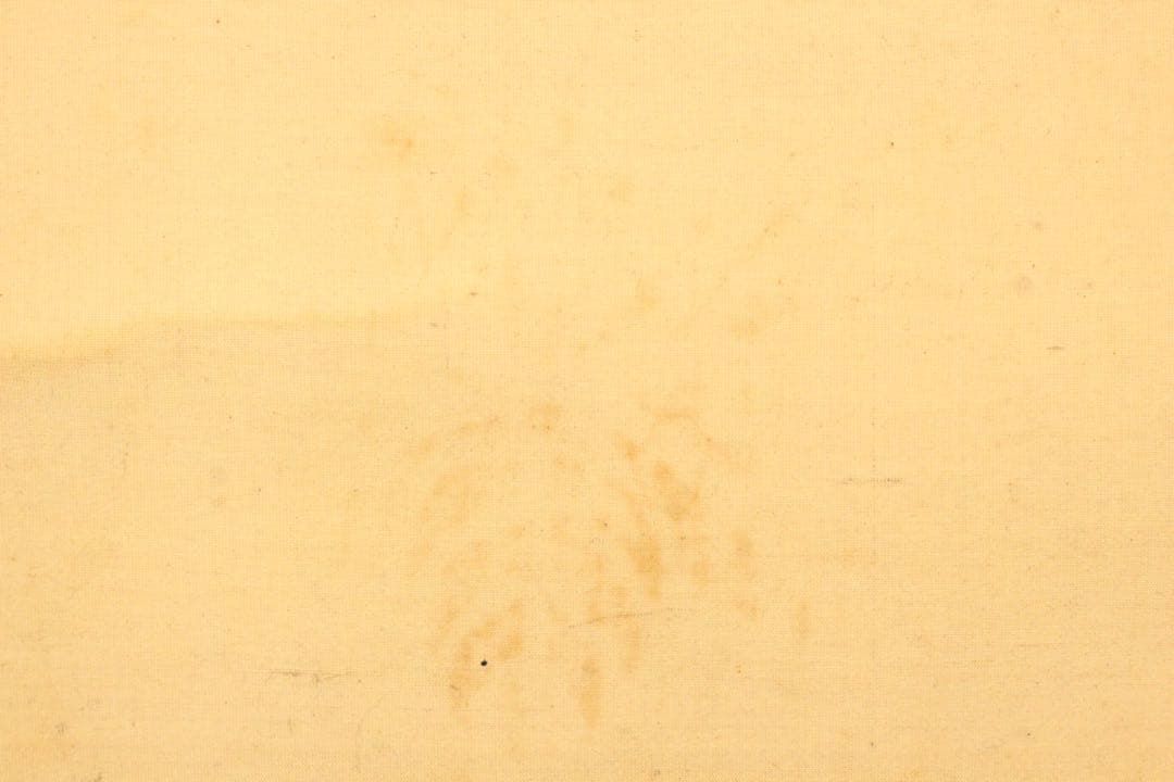 No5915 掛軸　在印　土龍　出山釈迦図　着色　絹本　仏教美術　仏画　送料無料