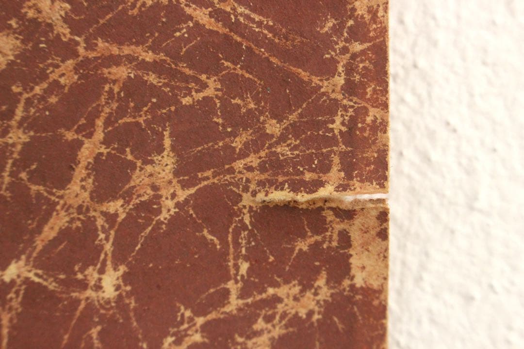 No5915 掛軸　在印　土龍　出山釈迦図　着色　絹本　仏教美術　仏画　送料無料