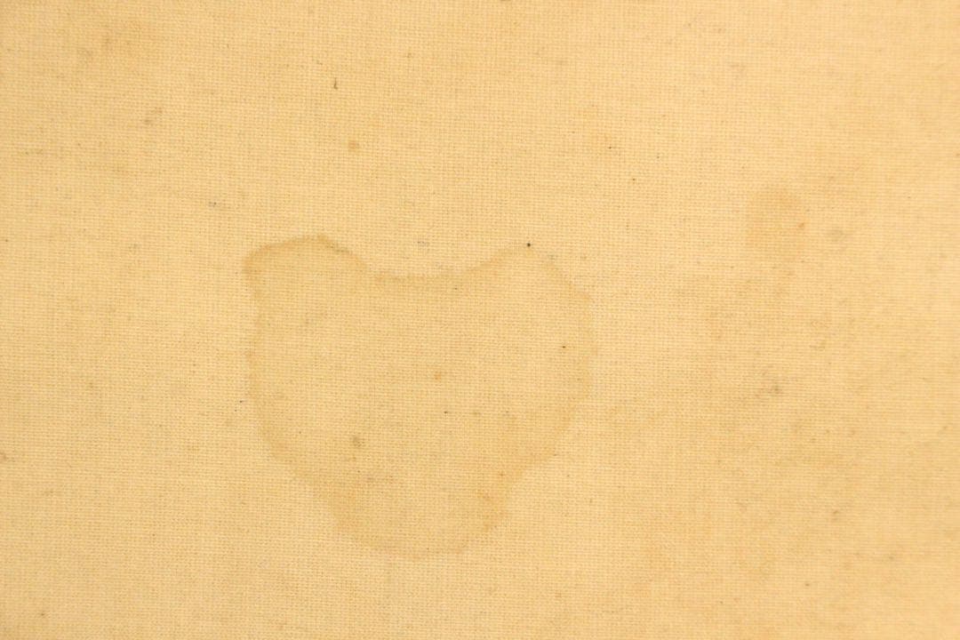 No5915 掛軸　在印　土龍　出山釈迦図　着色　絹本　仏教美術　仏画　送料無料