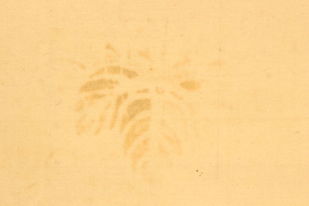 No5915 掛軸　在印　土龍　出山釈迦図　着色　絹本　仏教美術　仏画　送料無料