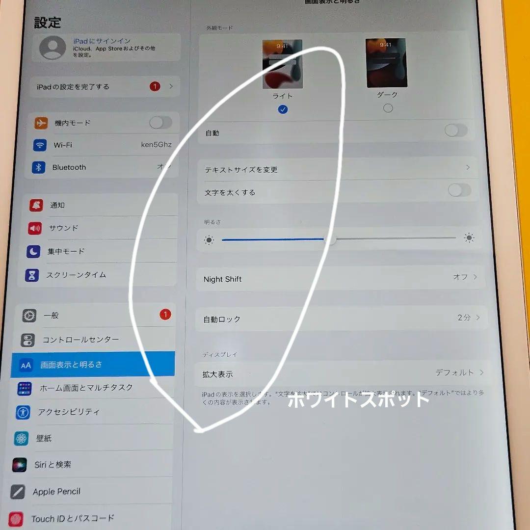 iPad Pro 12.9インチ 第1世代 Wi-Fi 32GB　#379