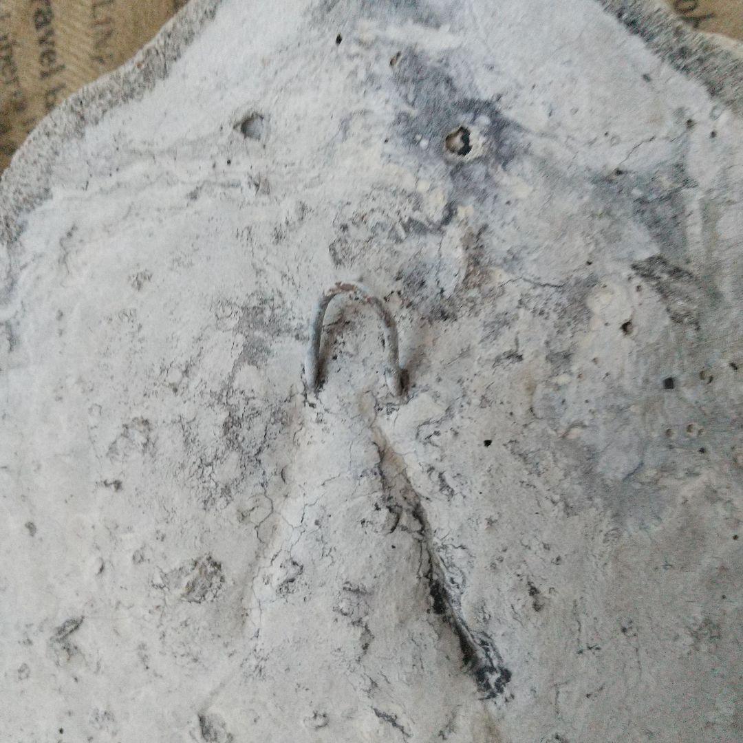 ワンダーデコール　壁掛け　オブジェ