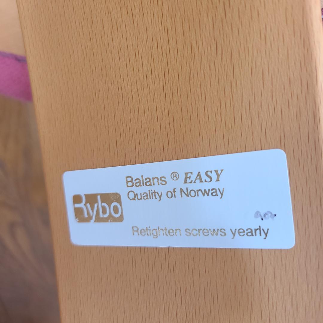 バランスチェア Balans EASY バランスイージー Rybo社