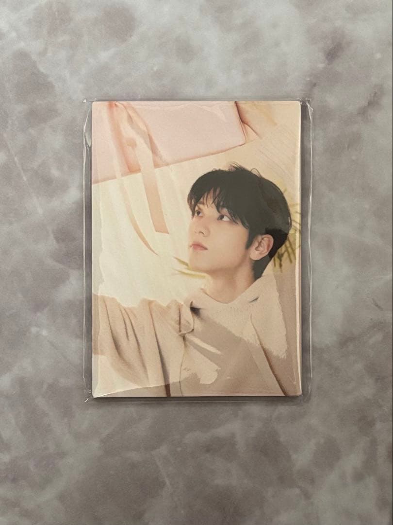 TXT DREAM WEEK スウェット プルオーバー M