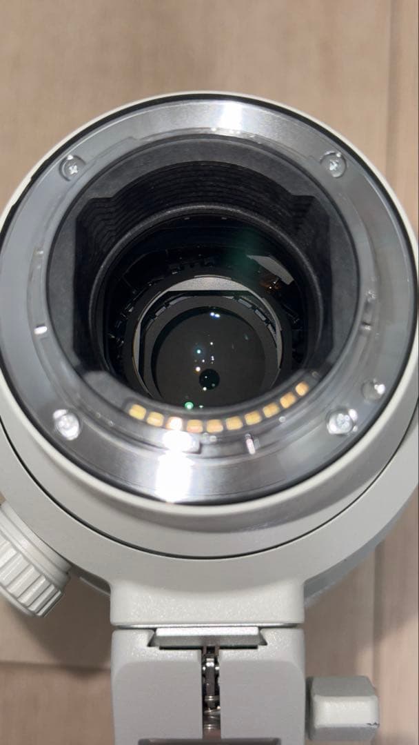 【週末限定値下げ】SONY FE 70-200mm F2.8 GM OSS II