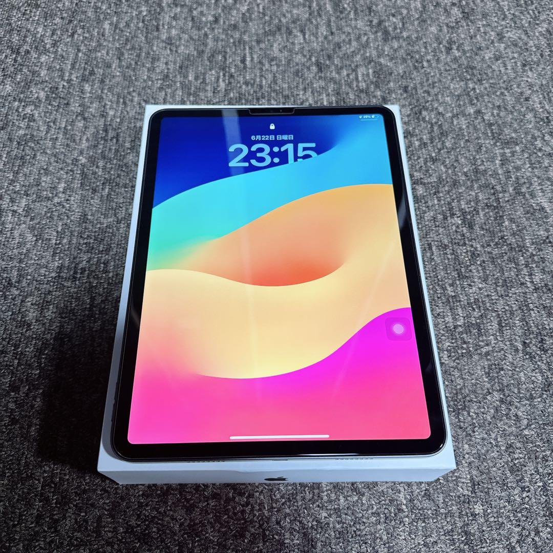 美品 iPad Pro 11インチ第3世代 256Gb