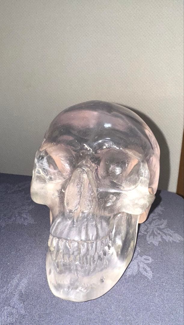 頭蓋骨置物 約15cm