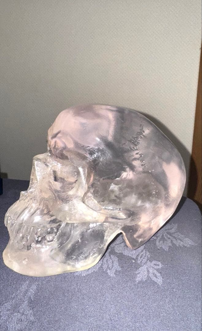 頭蓋骨置物 約15cm