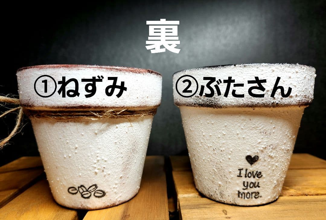 リメイク鉢のオーダー専用ページ♪オーダーはこちらからコメント下さい★