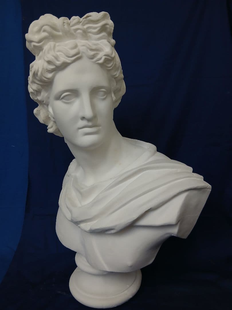 アポロ石膏胸像