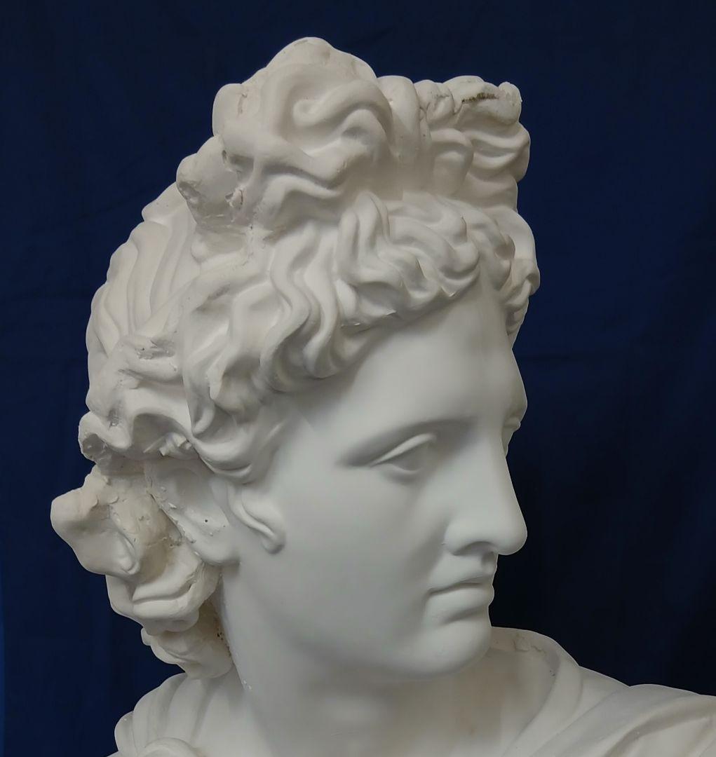 アポロ石膏胸像