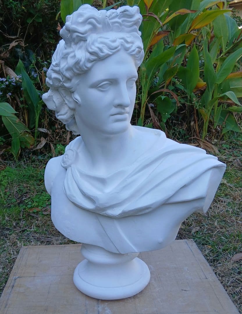 アポロ石膏胸像