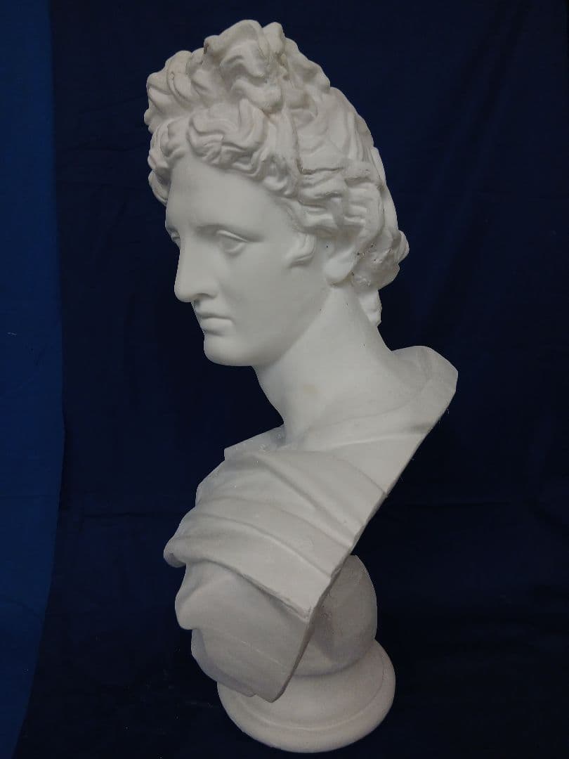 アポロ石膏胸像