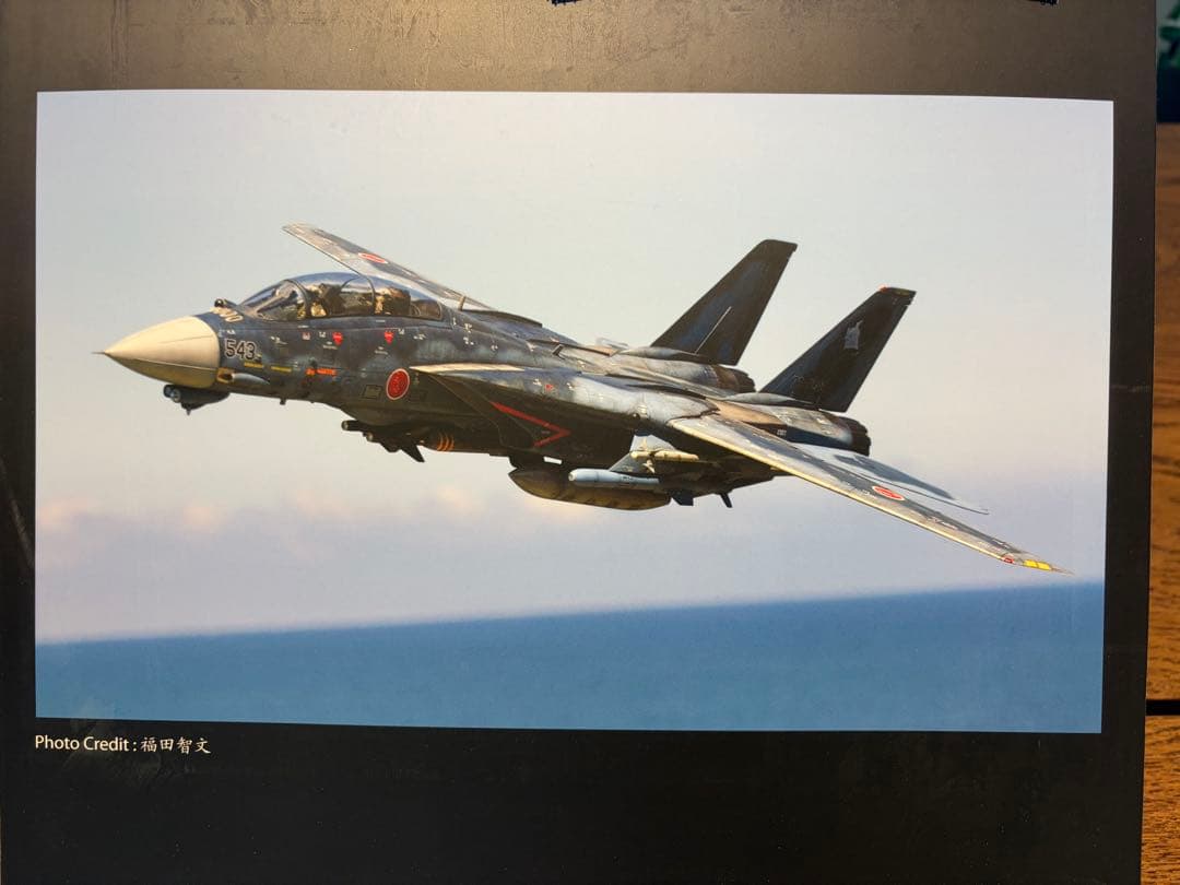 【希少】1/72 F-14J改 航空自衛隊 洋上迷彩 カリバーウィングス