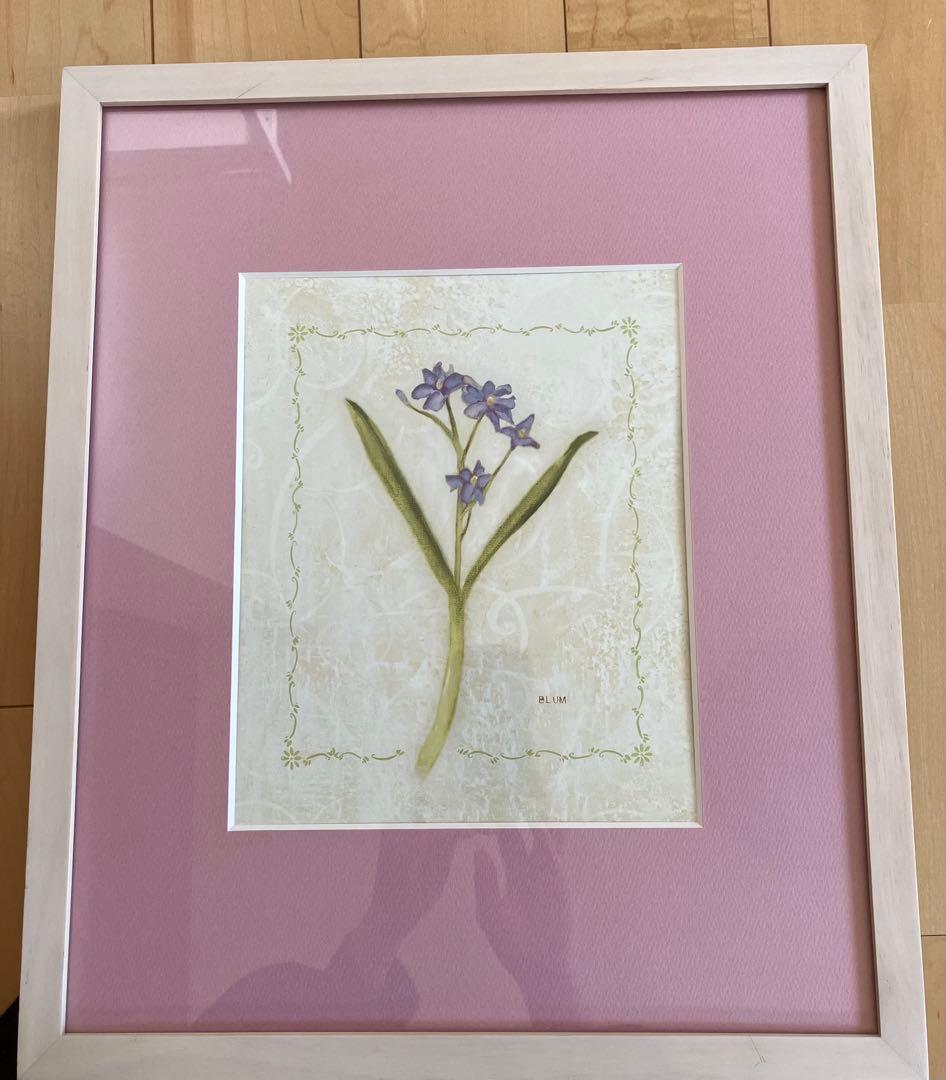 【アートフレーム】シェリーブラム絵画ポスター勿忘草ワスレナグサ モデルルーム展示