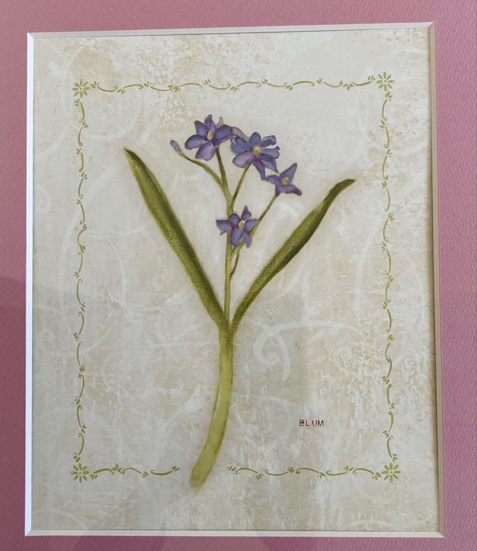 【アートフレーム】シェリーブラム絵画ポスター勿忘草ワスレナグサ モデルルーム展示