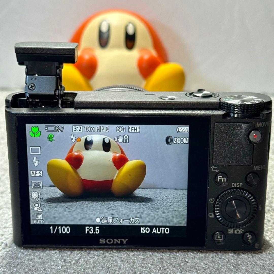 ☆動作OK SONY DSC-RX100 USBケーブル付き