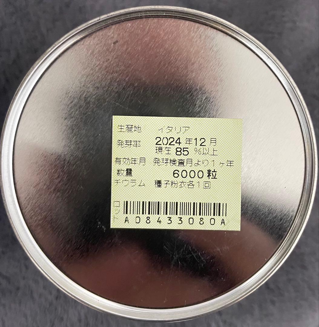 清輝【渡辺農事】 コート6000粒　ネギ