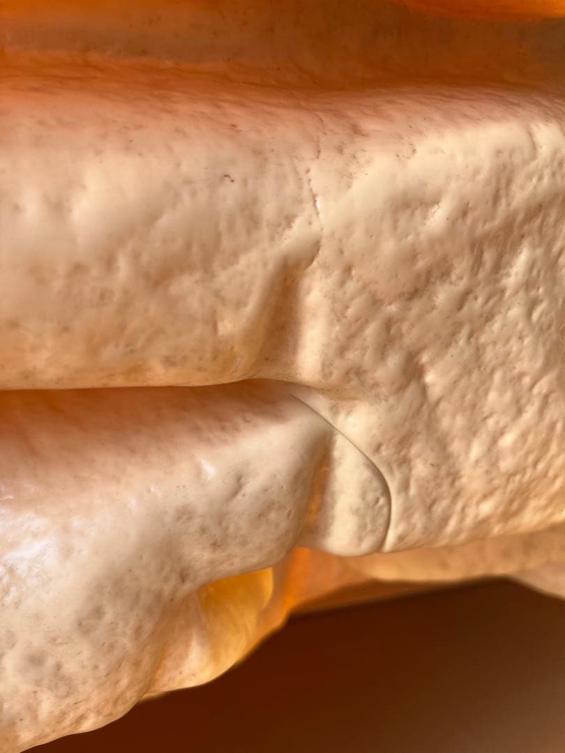 【carnegie safari】カーネギーサファリ　恐竜フィギュア　まとめ