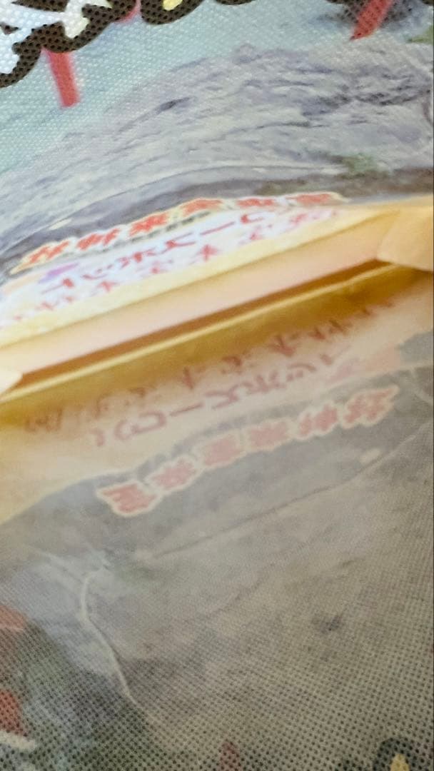 【宝くじ的中】石垣島宝来宝来神社限定トートバッグ♪《金運上昇》