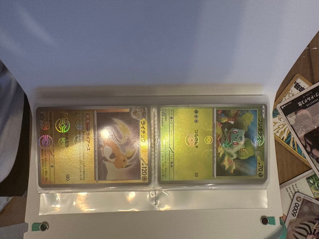 買*う様 デ*ー様 サンダーex リザードンex 英語版　その他カード＋ファイル