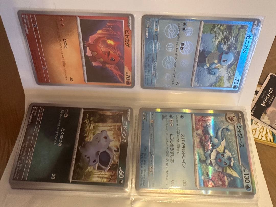 買*う様 デ*ー様 サンダーex リザードンex 英語版　その他カード＋ファイル