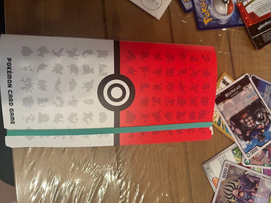 買*う様 デ*ー様 サンダーex リザードンex 英語版　その他カード＋ファイル