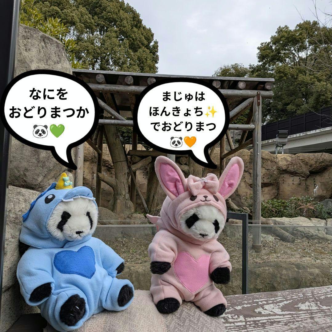 【ｍ＆r様オーダー】だっこシャオレイ♡怪獣＆うさぎ変身コスチュームセット