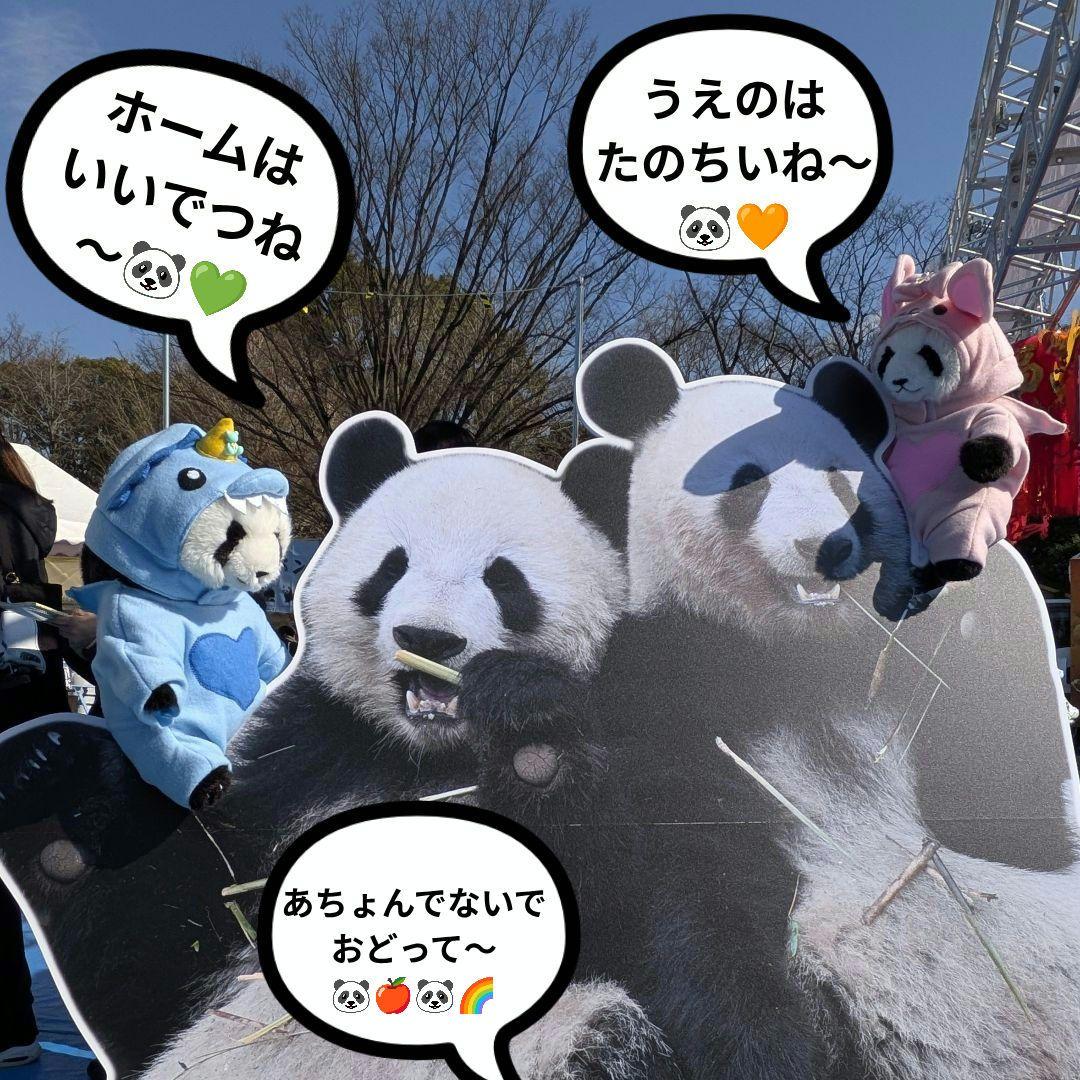 【ｍ＆r様オーダー】だっこシャオレイ♡怪獣＆うさぎ変身コスチュームセット